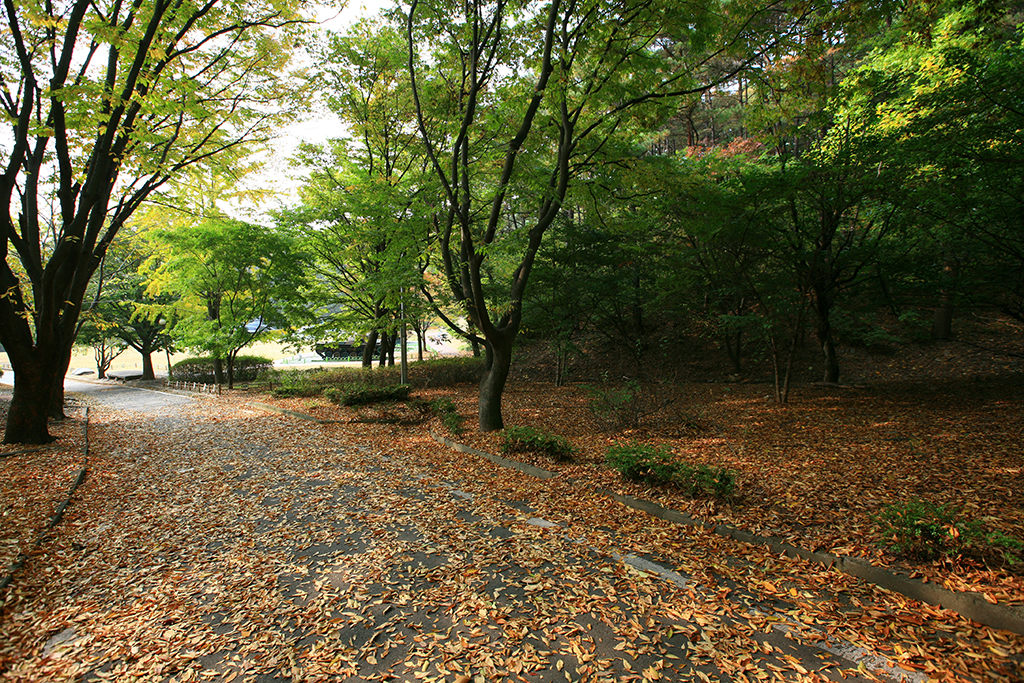 Taejosan Park