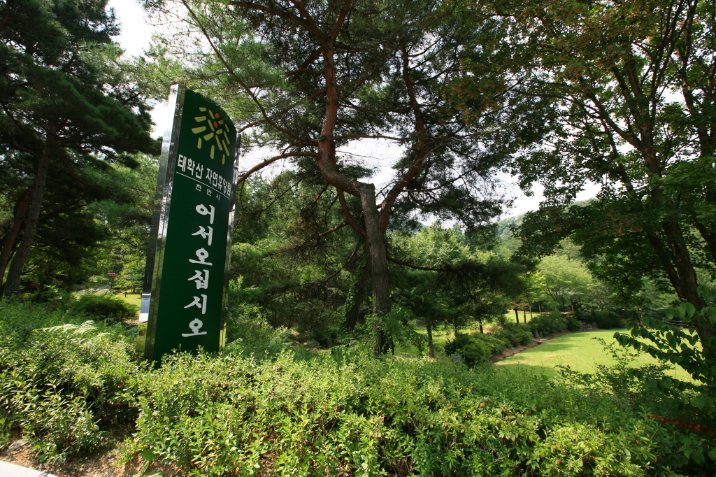 Taehaksan Natural Recreational Forest