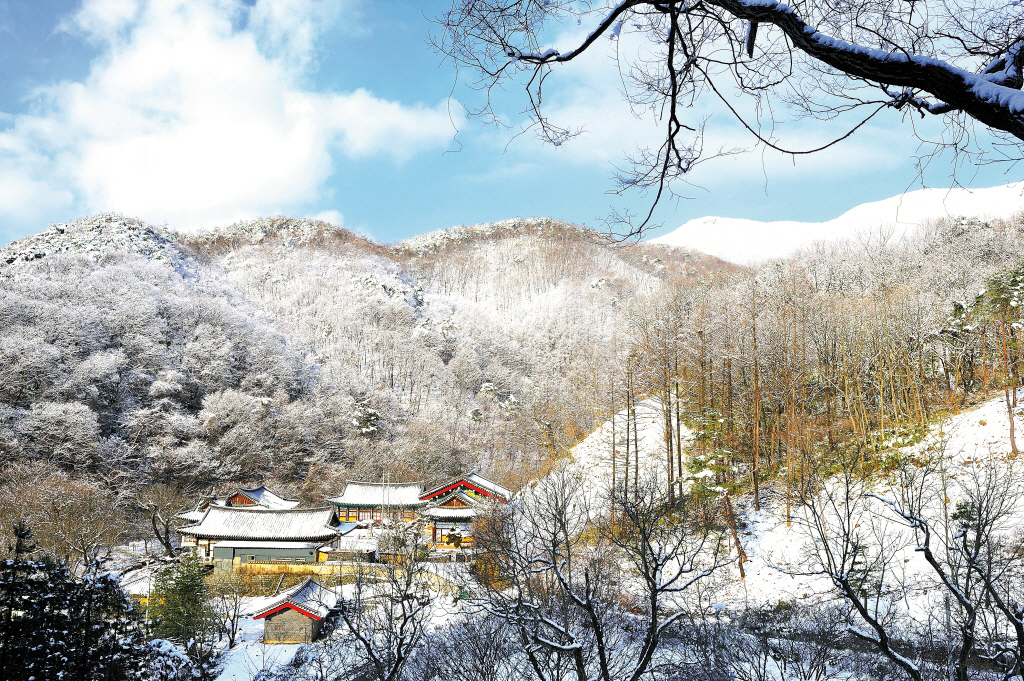 広徳山の雪景