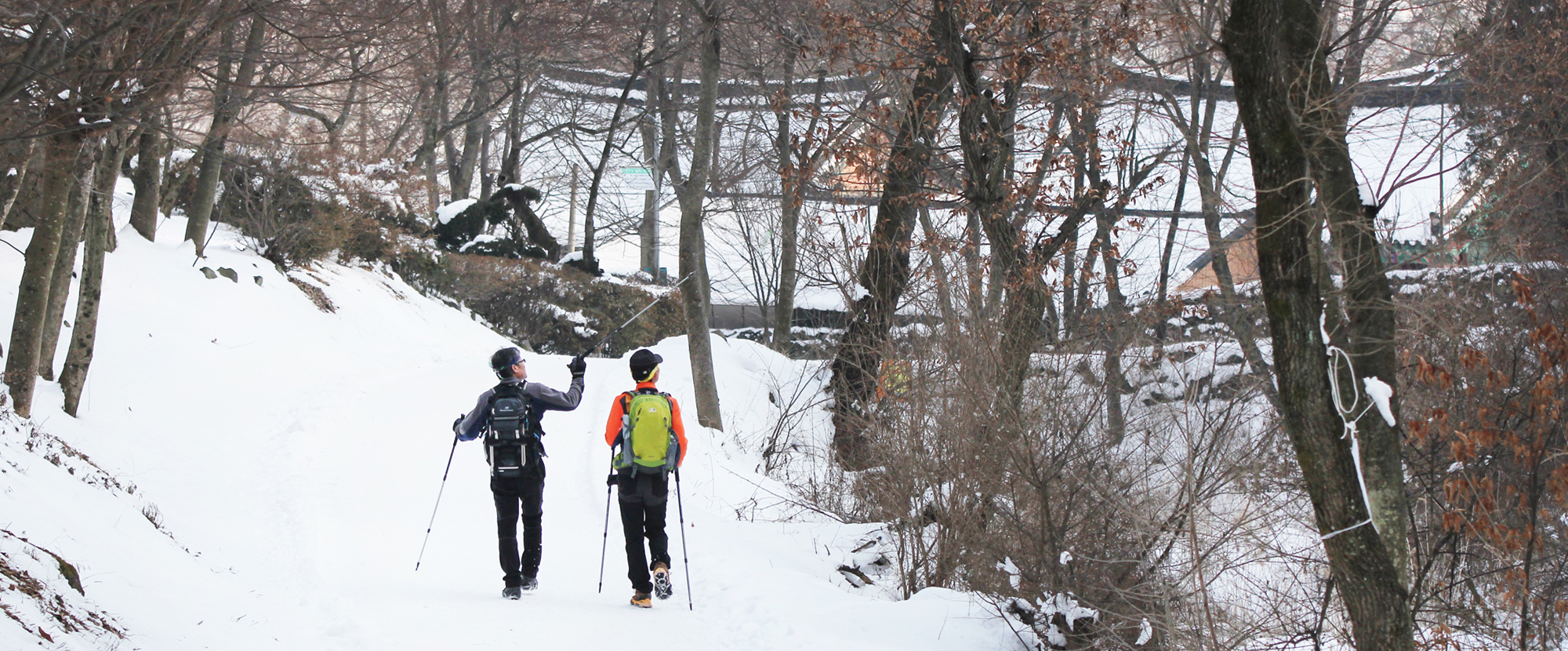 겨울 숲길을 걷고있는 등산객 두명